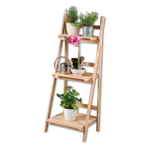 Plantetrappe i paulownia træ