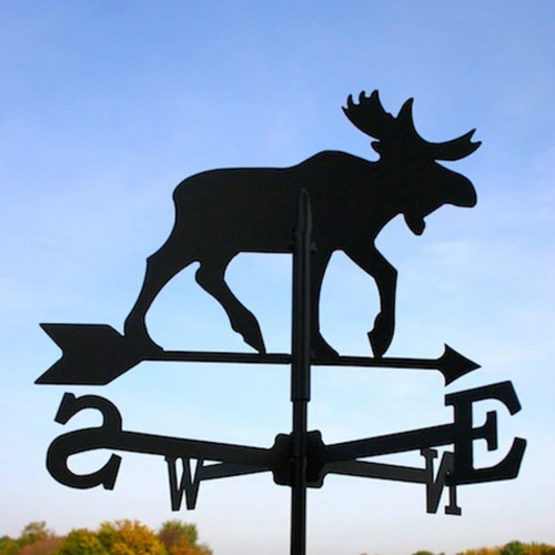 Vejrhane Elg - Lille