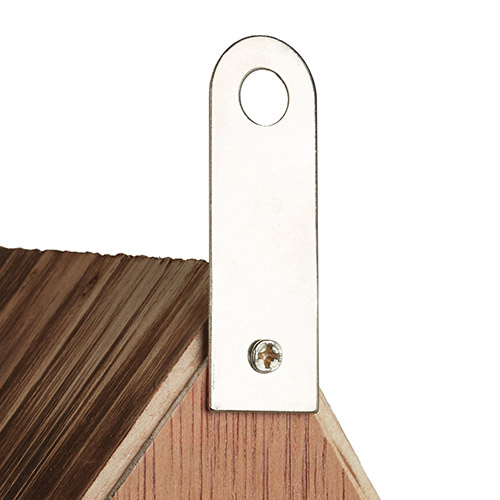 Insektbo i brændt træ