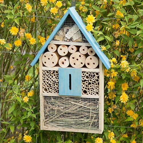 Insekthus i træ med blåt tag