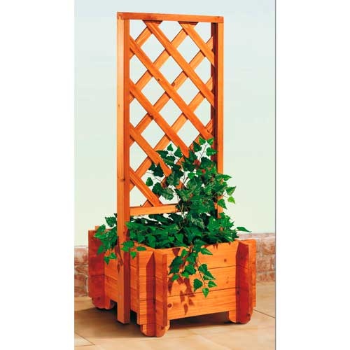 Plantekasse med espalier