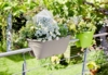 Blomsterkasse til gelænder og rækværk m.m.