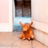 Dørstopper dyr Mull Highland Cow